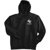 Curry College Super Heavyweight Fleece Hoodie