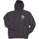 Curry College Super Heavyweight Fleece Hoodie