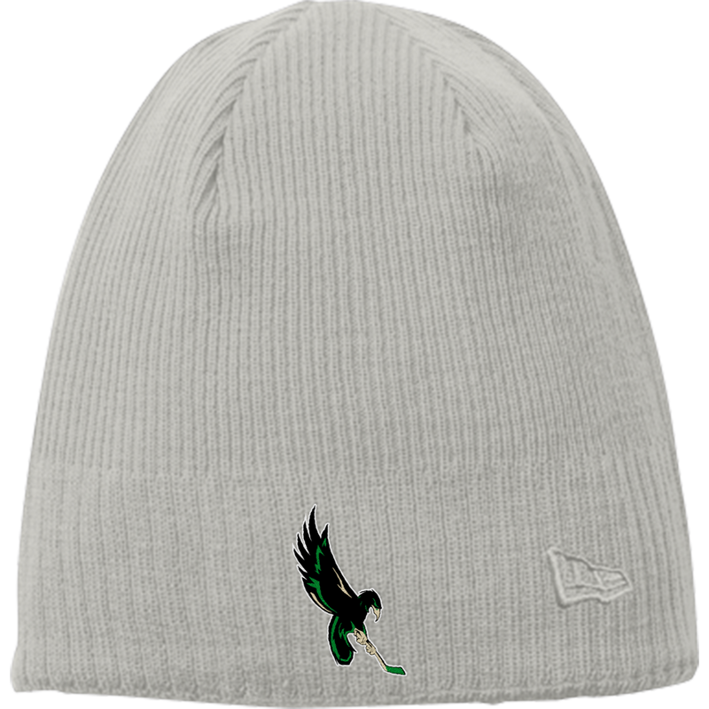 Wilmington Nighthawks New Era Knit Beanie