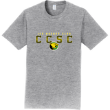 Chester County Adult Fan Favorite Tee