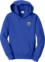 CT Bobcats Youth Fan Favorite Fleece Pullover Hooded Sweatshirt